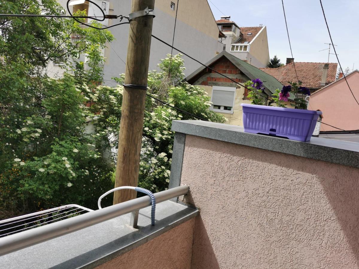 Apartmani Milica Krusevac Exterior photo